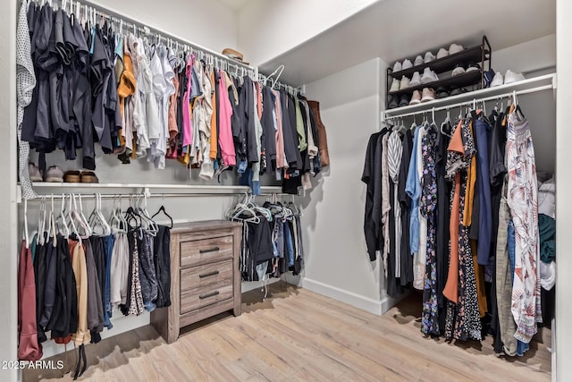 spacious closet featuring light hardwood / wood-style flooring