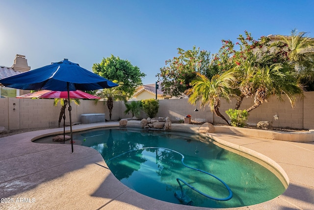 4554 W Detroit St, Chandler, AZ 85226 - view of swimming pool featuring a fenced in pool, a patio, and a fenced backyard
