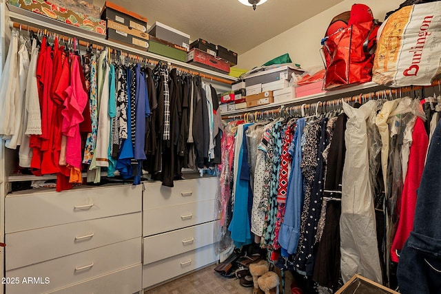 4554 W Detroit St, Chandler, AZ 85226 - view of walk in closet