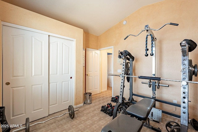 4554 W Detroit St, Chandler, AZ 85226 - workout area with baseboards, lofted ceiling, and carpet