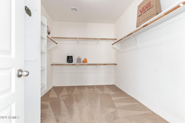 spacious closet featuring carpet