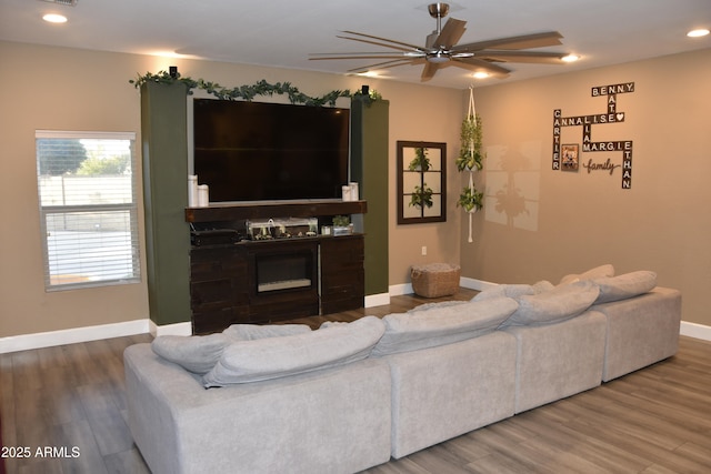 living room featuring ceiling fan and wood-type flooring