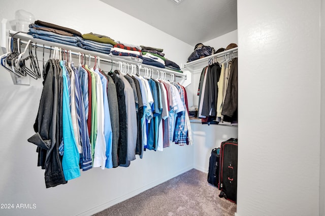 spacious closet featuring carpet flooring