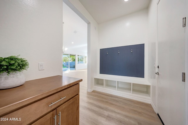 living room featuring light hardwood / wood-style flooring