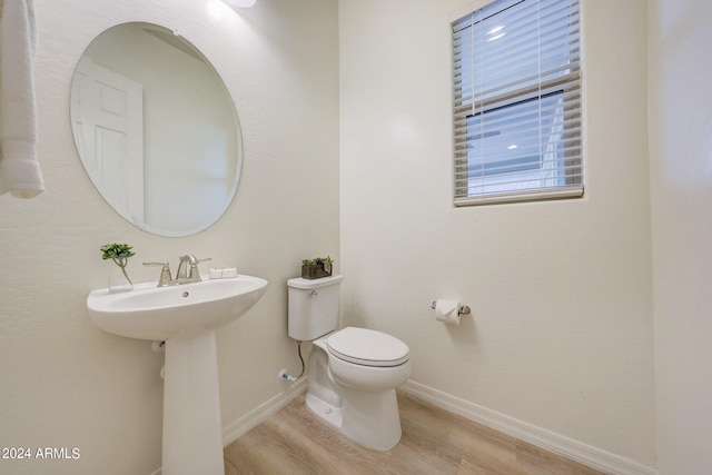 bathroom with toilet and wood-type flooring