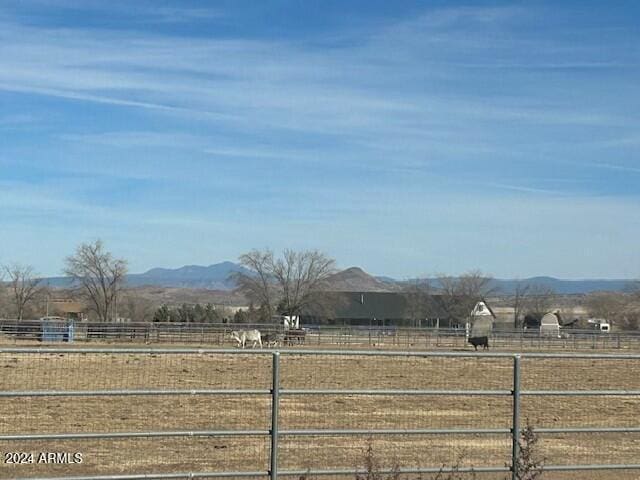 view of yard with a mountain view and a rural view