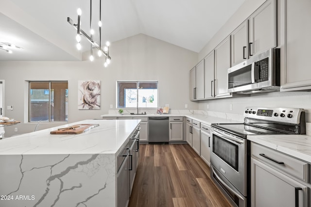 kitchen featuring dark wood-type flooring, stainless steel appliances, plenty of natural light, and lofted ceiling