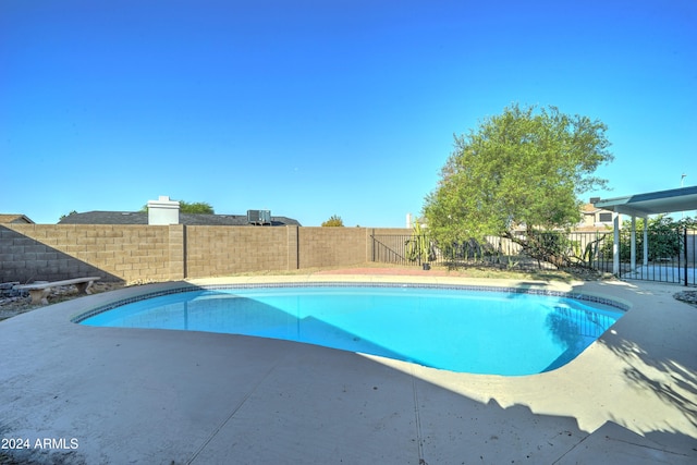 view of pool featuring a patio area