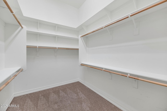 spacious closet featuring carpet flooring