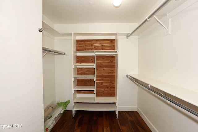 spacious closet featuring dark hardwood / wood-style flooring