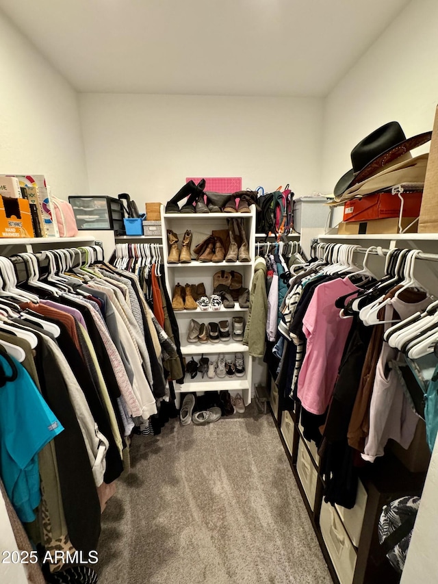 walk in closet with carpet