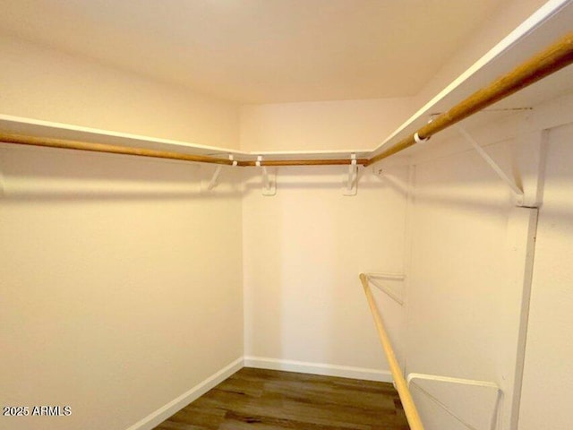 spacious closet with dark wood finished floors