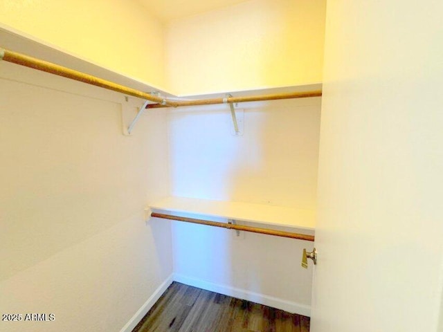 walk in closet with wood finished floors