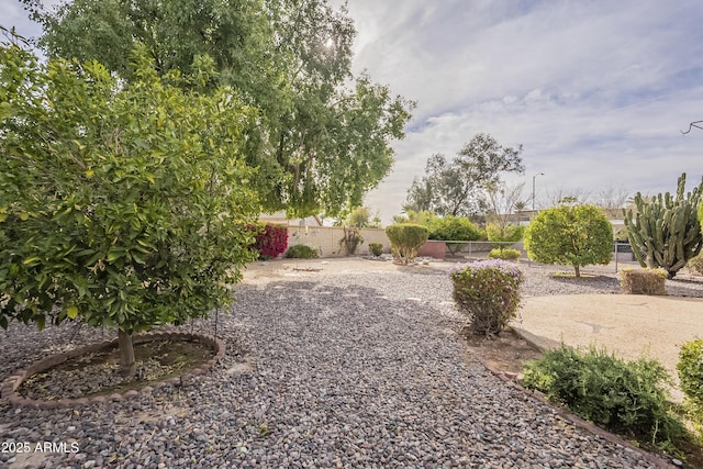 view of yard featuring fence