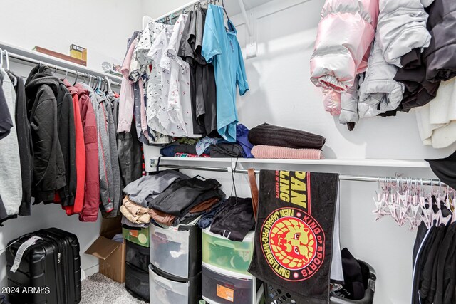 spacious closet featuring carpet