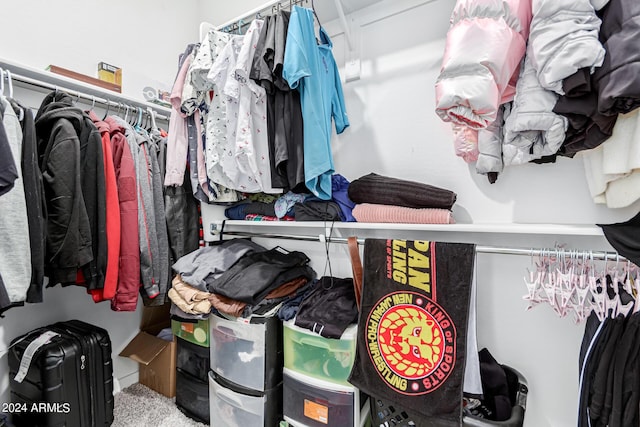 3454 E Jasmine Way, San Tan Valley, AZ 85143 - spacious closet with carpet floors