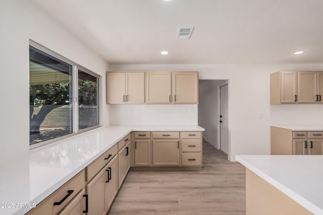 9414 N 50th Dr, Glendale, AZ 85302 - kitchen featuring light countertops, light wood finished floors, and recessed lighting