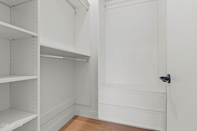 spacious closet featuring light wood-style floors