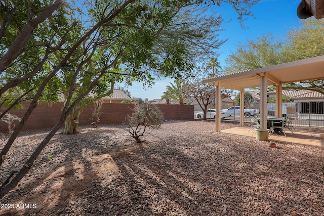 view of yard featuring a patio area