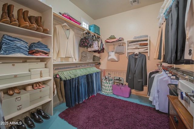 view of spacious closet