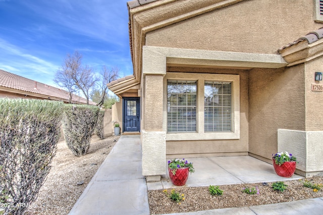 entrance to property with a patio area and stucco siding