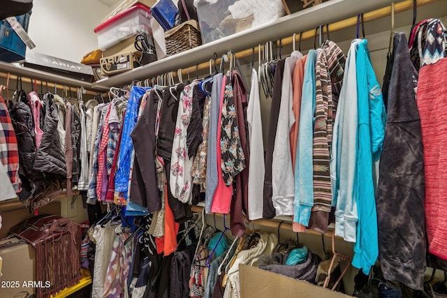 view of spacious closet