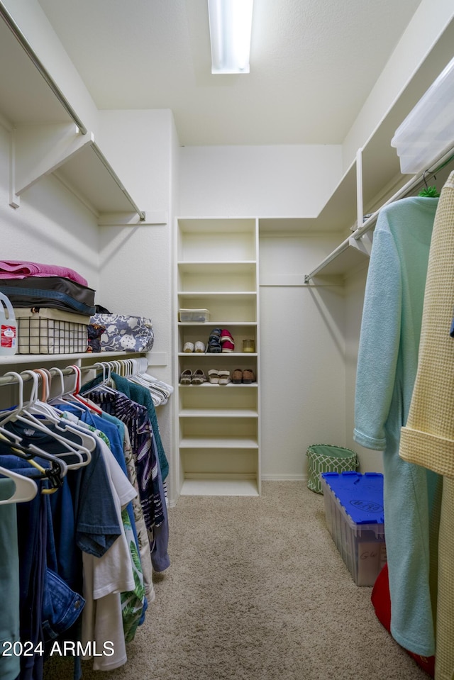 walk in closet featuring carpet