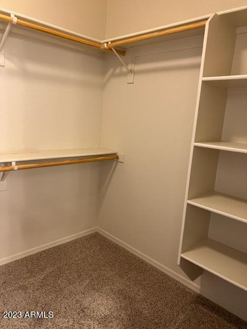 spacious closet featuring carpet flooring