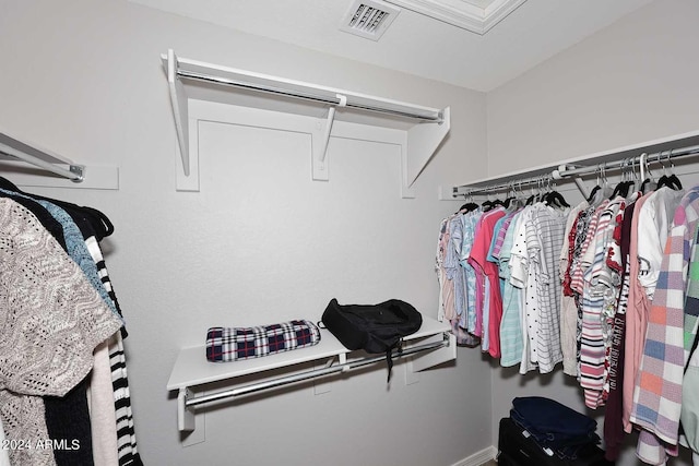 view of spacious closet