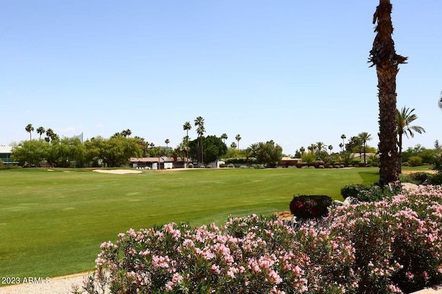 view of community featuring a lawn