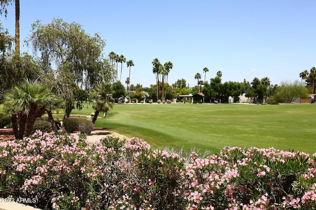 surrounding community featuring a lawn