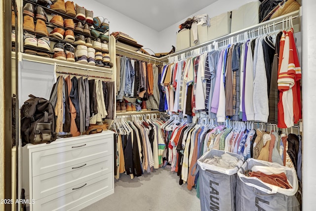 spacious closet with carpet floors