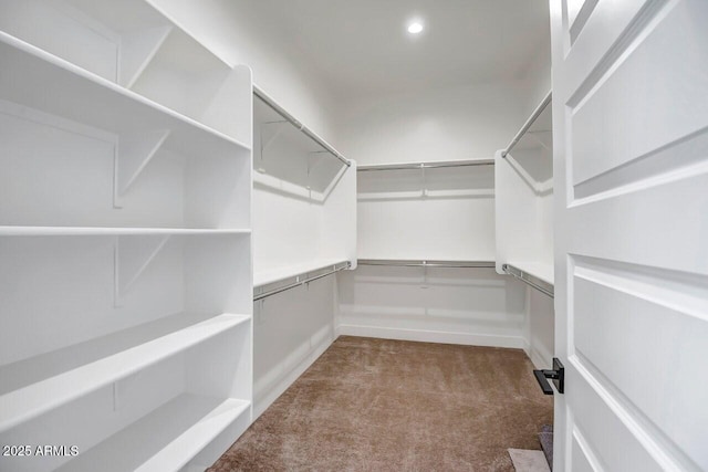 spacious closet with carpet floors