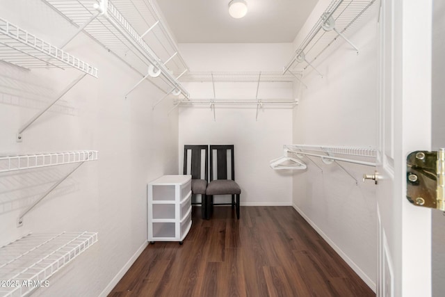 walk in closet featuring dark hardwood / wood-style flooring