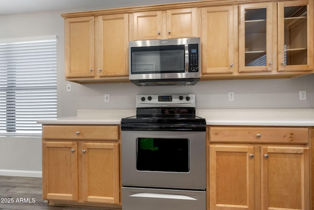 kitchen featuring plenty of natural light, light brown cabinets, appliances with stainless steel finishes, and dark hardwood / wood-style floors