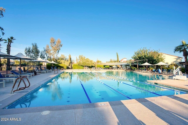 view of pool with a patio area