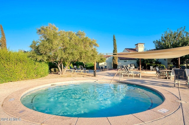 view of pool with a patio area