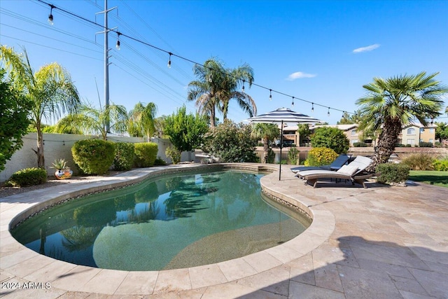 view of pool featuring a patio