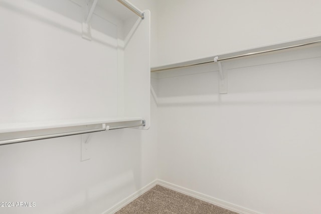 spacious closet with carpet