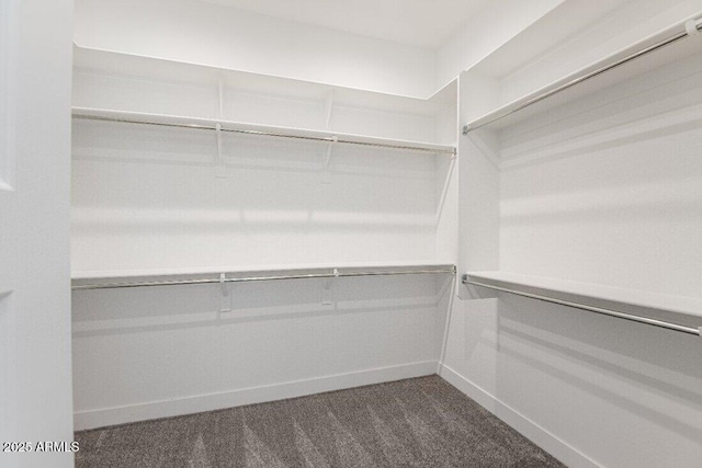 spacious closet featuring dark colored carpet