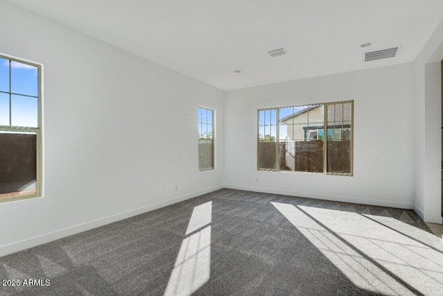 carpeted empty room with plenty of natural light