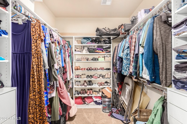 spacious closet with carpet