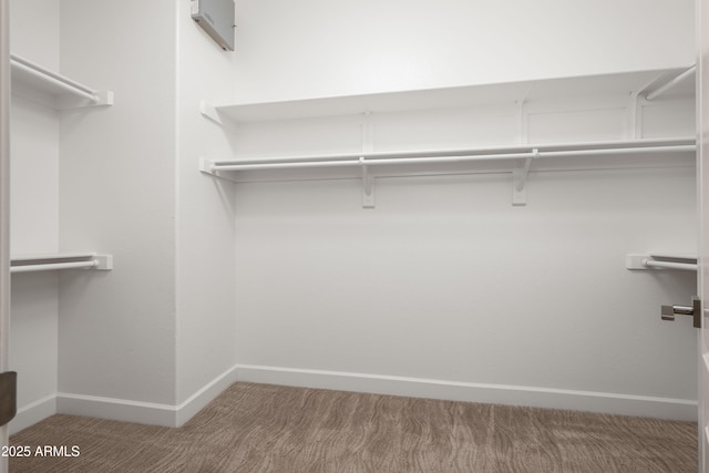 spacious closet featuring carpet flooring