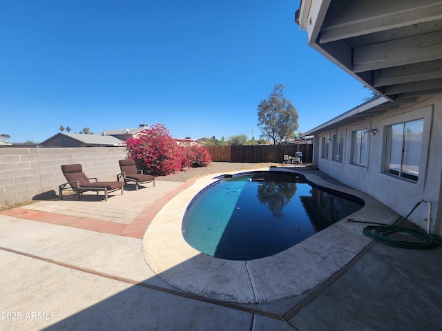 view of pool featuring a fenced in pool, a patio area, and a fenced backyard