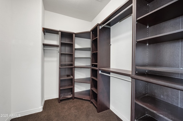 spacious closet with dark colored carpet