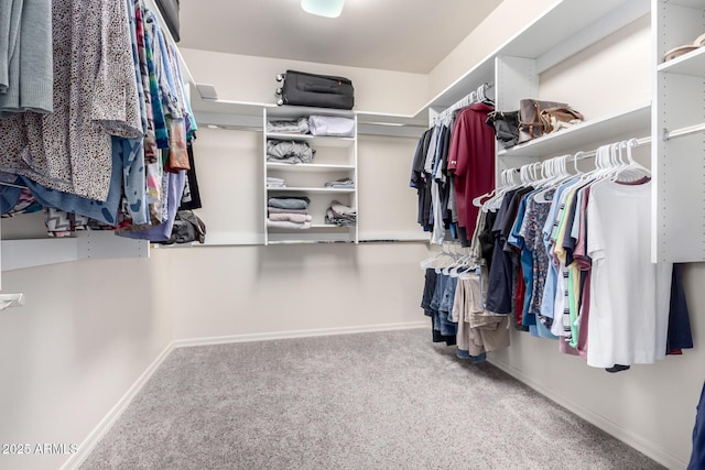 spacious closet with carpet flooring