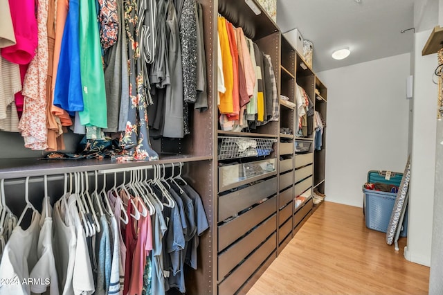 walk in closet featuring light hardwood / wood-style floors