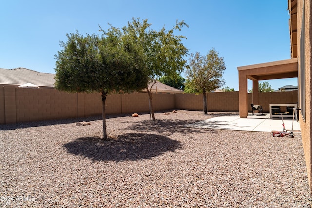 view of yard with a patio