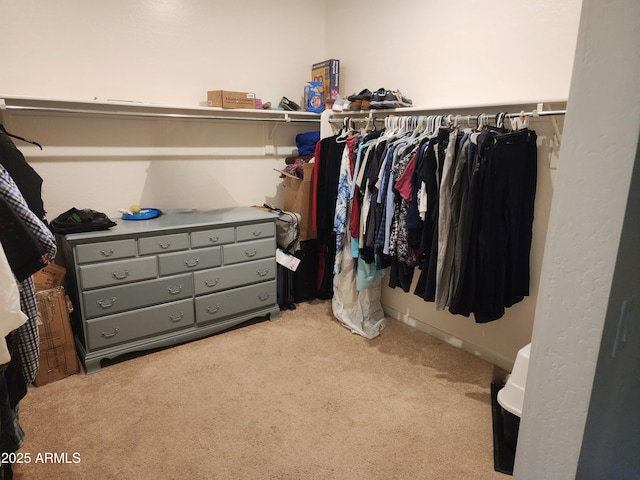 7251 E Grouse Ct, San Tan Valley, AZ 85143 - spacious closet featuring light carpet