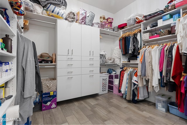 17385 W Sugar Hill Ct, Surprise, AZ 85388 - spacious closet with light wood-style flooring